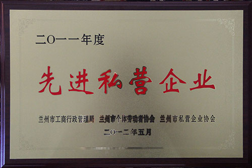 2011M˽II